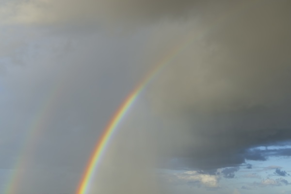 Media-id 31336209