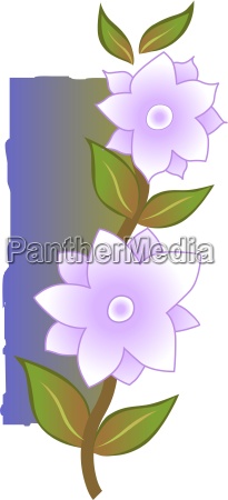 Flower - Royalty free image - #3075051 | PantherMedia Stock Agency